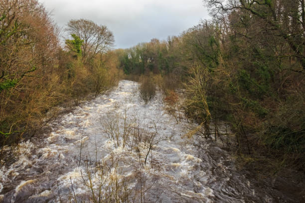 água de inundação de inverno em fluxo rápido no rio dee em tongland, perto de kirkcudbright, escócia - river annan - fotografias e filmes do acervo