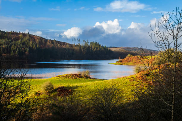 una vista sul lago woodhall, un lago scozzese, in una soleggiata giornata invernale, vicino a mossdale a dumfries e galloway, in scozia - galloway foto e immagini stock