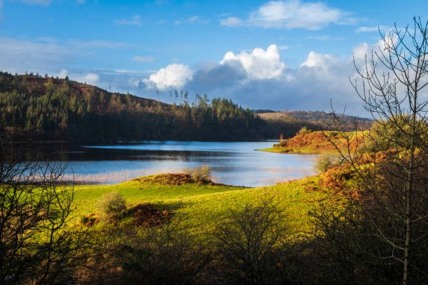 晴れた冬の日、ダンフリースとギ�ャロウェイのモスデール近くのスコットランドのウッドホール湖の景色 - ken ストックフォトと画像