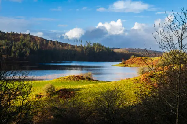 A view over Woodhall loch, a Scottish Loch, on a sunny winters day, near Mossdale in Dumfries and Galloway, Scotland