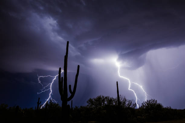 tempête de foudre dans le désert - thunderstorm lightning storm monsoon photos et images de collection