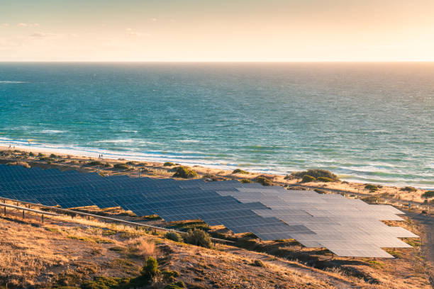 istock Solar panels installed along the coastline at sunset 1310687163