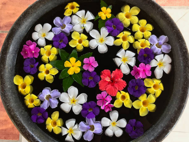 istock Water basin decorated with tropical flowers 1310688679