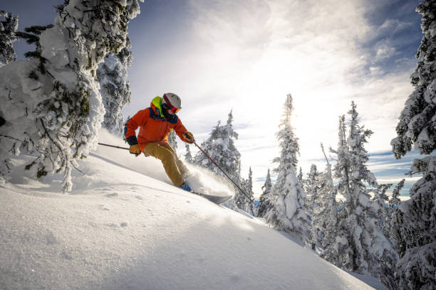 Powder skiing Powder skiing on a sunny day. skiing stock pictures, royalty-free photos & images