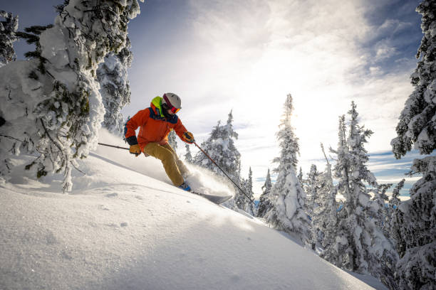 порошковые лыжи - skiing british columbia sports helmet tree стоковые фото и изображения