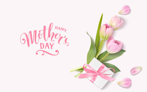 happy mothers day design-vorlage. kalligraphischen schriftzug mit dekorativen geschenk-box und rosa tulpe blumen. - greeting card flower mothers day tulip stock-grafiken, -clipart, -cartoons und -symbole