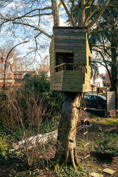 istock Tree house made of wooden planks 1310700351