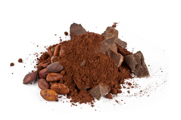 istock Cocoa beans with cacao powder and cocoa pieces 1310702115