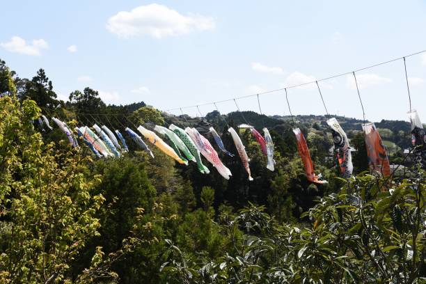 istock The carp streamers ’Koinobori’ 1310703319