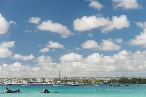 istock Beach in Barbados. Beautiful Blue Sky and Water 1310703330