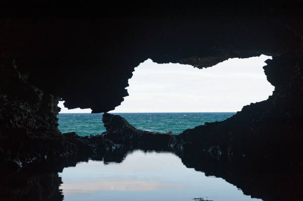 Animal Flower Cave in Barbados. Sightseeing Place in Island