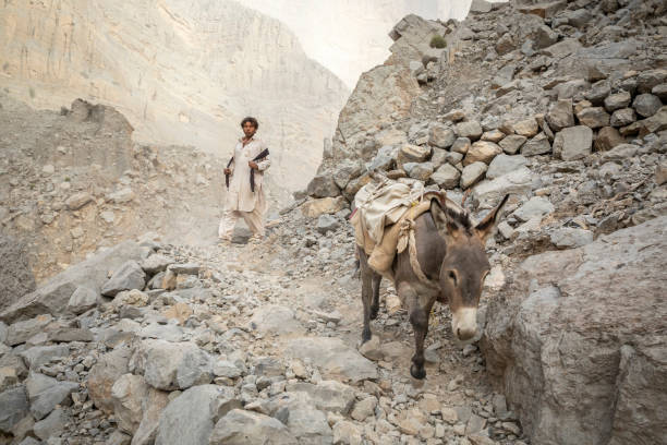 escalera a la caminata del cielo en ras al khaimah - al hajjar fotografías e imágenes de stock