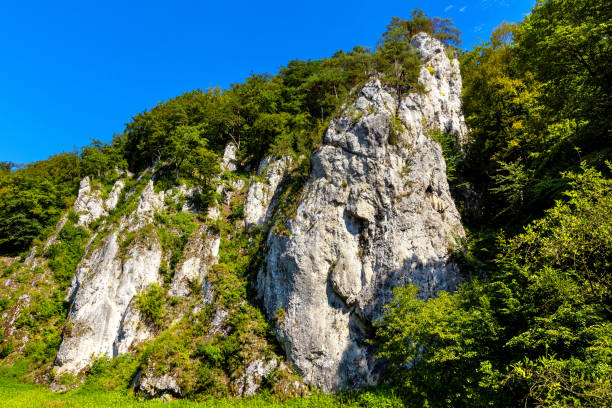 小ポーランドのオイコウのクラコウ・チェストコワ高地のプラドニク小川渓谷の城岩ジュラ紀の石灰岩山塊 - lesser poland ストックフォトと画像