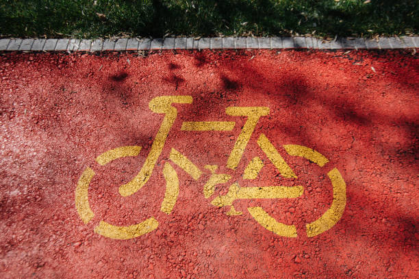 istock A park for active recreation. Walking and cycling paths. 1310707118