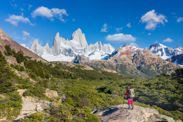 istock Trecking at Mount Fitz Roy 1310707317