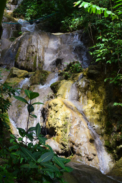 istock A potrait photo of a spring that flows between the rocks 1310709334