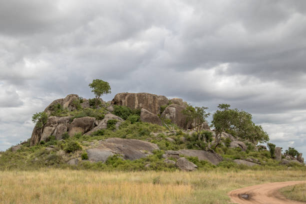 istock Serengeti Landscape 1310710873