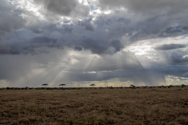 istock Serengeti Landscape 1310710948