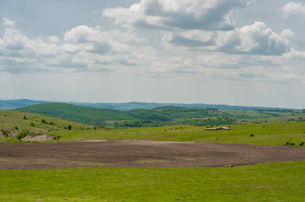 Mountains and Forest in Bulgaria. Clear Blue Sky.