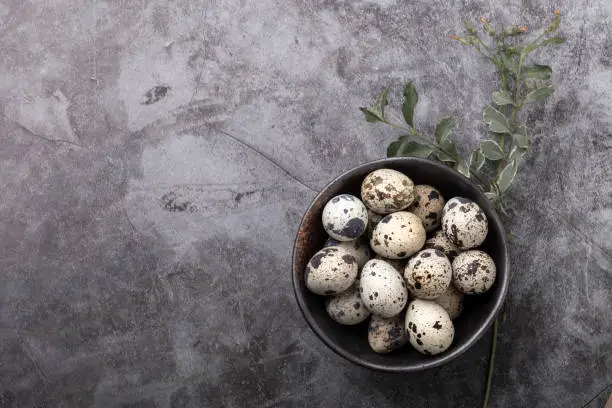 A bowl of quail eggs on a gray background with greenery