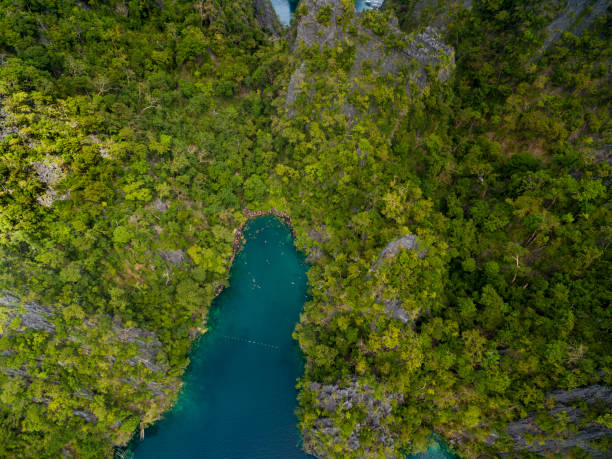 jezioro kayangan i dżungla w coron, palawan, filipiny. - kayangan lake zdjęcia i obrazy z banku zdjęć