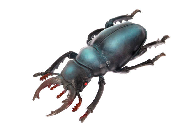 istock Large blue beetle, toy beetle on a white background, isolated 1310717436