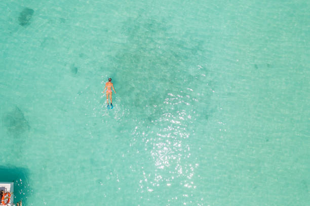 Drone view of woman snorkelling in the Maldives View from directly above, she swims in the lagoon of the Island fish swimming from above stock pictures, royalty-free photos & images