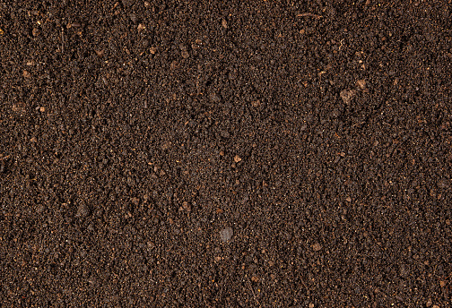Background with brown dry soil. Pitchfork on top. A concept for your design.