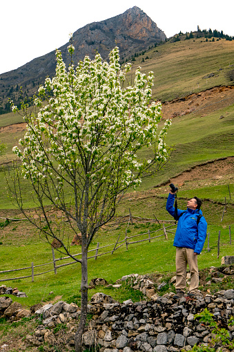 A photographer Taking a tree photograph in the spring time in Turkey. He is standing up on the stonewall.