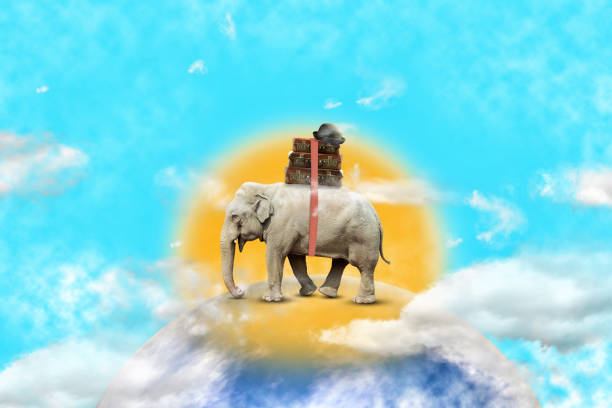 Elephant with suitcases, at sunset, with clouds. Travel concept.