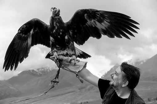 A man holding a eagle in his hand. He is wearing gloves. The eagle spread its wings against a mountain view.
