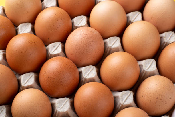 istock Nice big rural fresh eggs in cardboard egg box holder. 1310723401