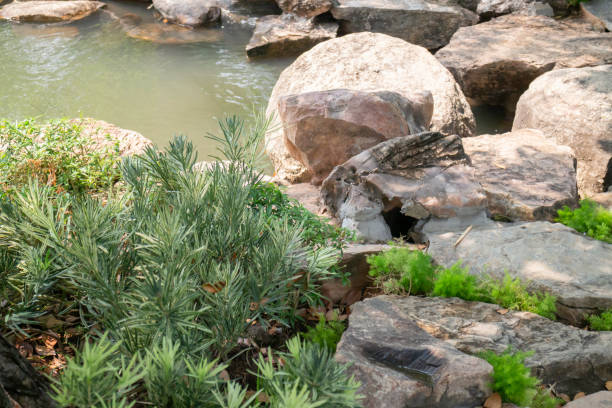 istock Beautiful stonegarden with streamside 1310723620