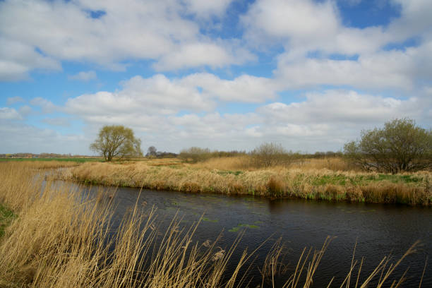 istock nature reserve with a stream and a beautiful cloudy sky 1310725847