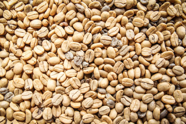 istock unroasted or green coffee beans background 1310727180