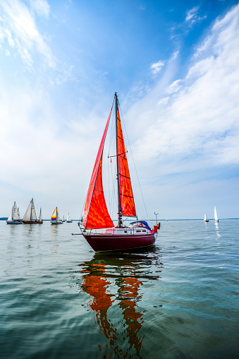 Yacht with red sails sailing in the sea against the background of other yachts.