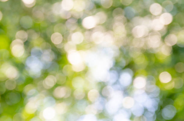 istock Abstract green natural bokeh background 1310731345