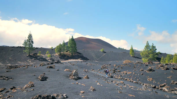 istock Hiker walking over black lapilli towards El Chinyero volcano, Tenerife (Canary Islands) 1310733810