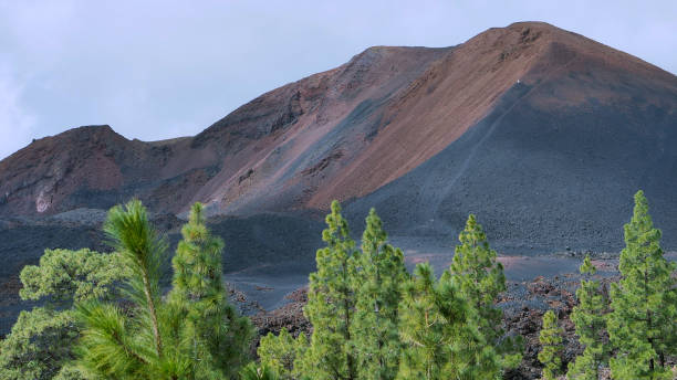 vue du volcan el chinyero, tenerife (îles canaries) - tenerife spain national park canary islands photos et images de collection