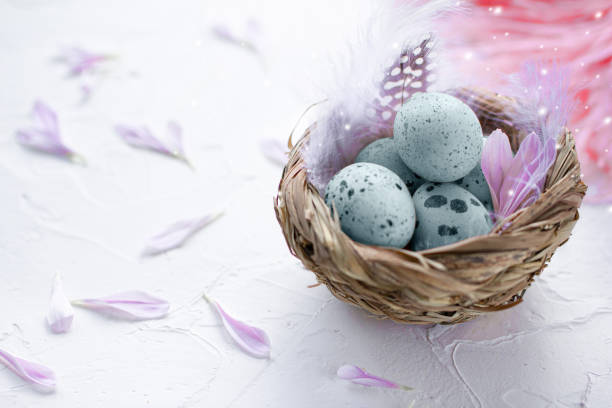 istock Blue Easter eggs in the small nest with feathers and flower petals on a light background. Painted quail eggs. Copy space. The Easter concept. Happy Easter. 1310737252