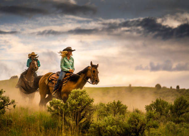 istock Cowgirls riding at speed 1310738418