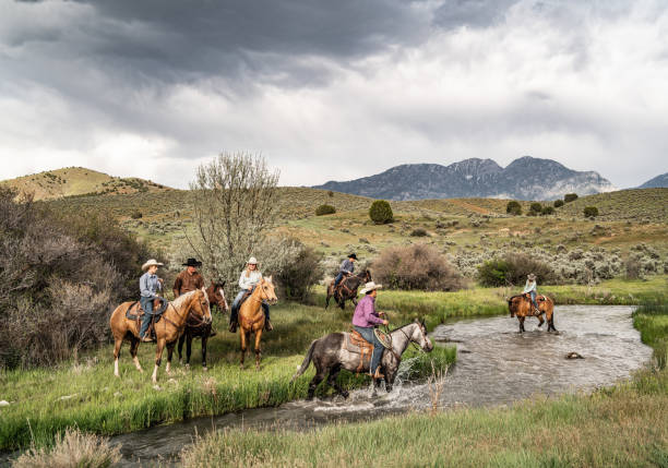 istock Crossing the River on Horseback 1310738476