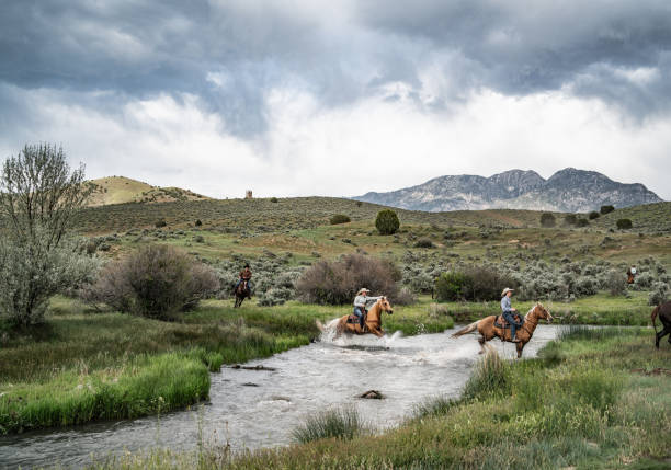 istock Crossing the River on Horseback 1310739002