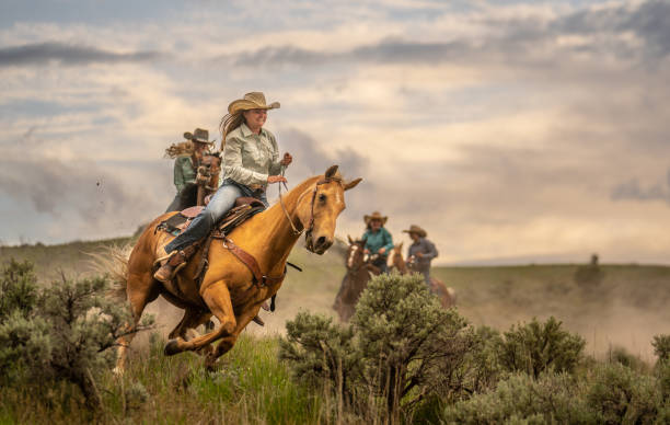 vaqueras cabalgando a toda velocidad - cowgirl fotografías e imágenes de stock