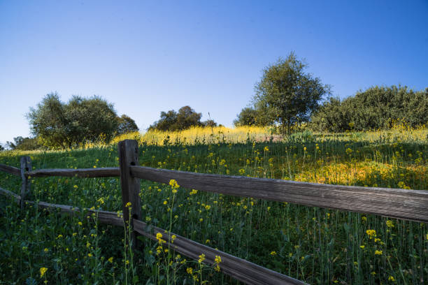 istock The wooden fence. 1310740517