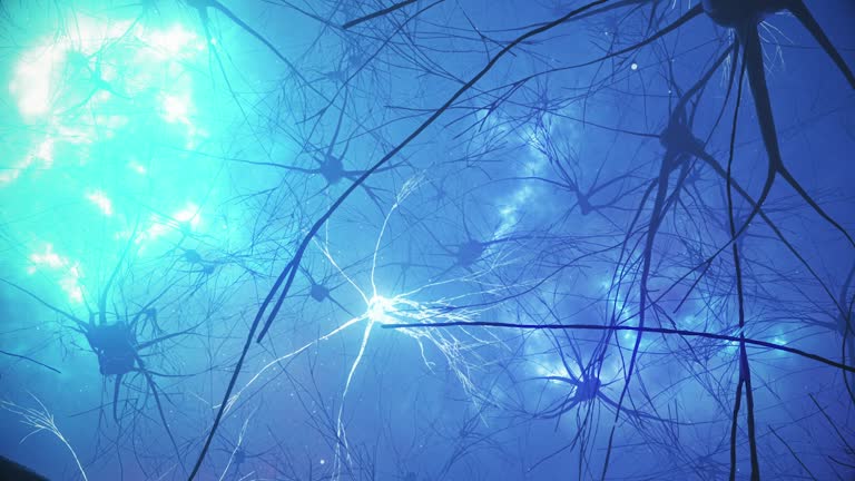 Animation of the activity of neurons and synapses. Neural connections in outer space, radioactivity, neurotransmitters, brain, axons. Electrical impulses transmitting signals. Mind concept.