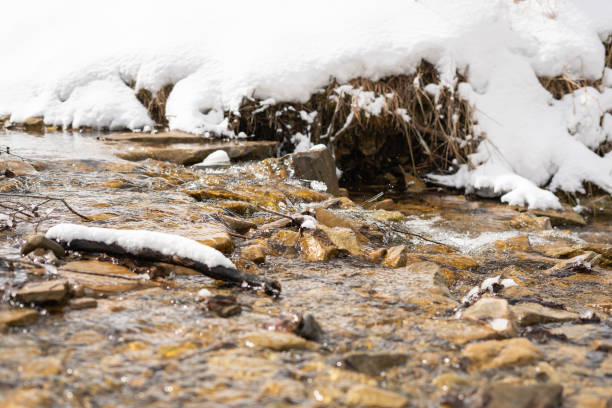 istock Stream in the snowy mountains. Mountain river. Carpathians. Ukraine. Selective focus. 1310743399