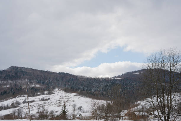 istock Snowy forest among the mountains. Tustan. Ukraine. Carpathians. 1310743436