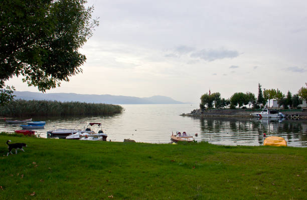 istock Iznik lake view 1310745684