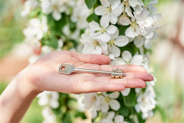 weibliche hand geben hausschlüssel mit blühenden apfelbaum auf hintergrund, kopierplatz. frühling, immobilienmakler, neues haus, hauskauf, umwelt- und ökologiekonzept - apple blossom single flower spring blossom stock-fotos und bilder